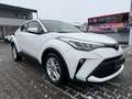 Toyota C-HR Hybrid Flow *Leasingrückläufer! Weiß - thumbnail 3