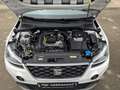 SEAT Arona 1.0 TSI FR DSG / LED / NAVI / ACC / KAMERA / SITZH Weiß - thumbnail 17
