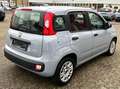 Fiat Panda Base Grau - thumbnail 5
