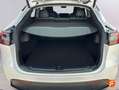 Tesla Model Y Gran+Autonom%C3%ADa+4WD Blanco - thumbnail 10