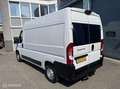 Fiat Ducato bestel 35 2.3 MultiJet Lang Hoog Airco Trekhaak 3 Wit - thumbnail 5