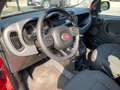 Fiat Panda Panda 1.0 hybrid Cross s&s Rosso - thumbnail 5
