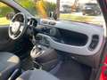 Fiat Panda Panda 1.0 hybrid Cross s&s Rosso - thumbnail 8