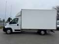 Peugeot Boxer KO LBW 165 TÜV/Service/Reifen NEU *1. Hand* Weiß - thumbnail 2