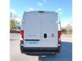 Fiat Ducato 35 2.3 Mjet Furgon Medio Alto 96kW 130C Blanco - thumbnail 5
