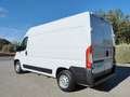 Fiat Ducato 35 2.3 Mjet Furgon Medio Alto 96kW 130C Alb - thumbnail 4