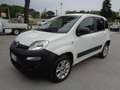 Fiat Panda 1.3 MJT 4x4 Pop Van 2 posti EURO6 Bianco - thumbnail 1