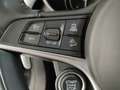 Alfa Romeo Stelvio 2.2 turbo 210cv executive q4 auto my19 - thumbnail 14