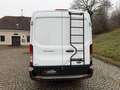 Ford Transit 350 L3 Trend KLIMA TEMPOMAT Weiß - thumbnail 8