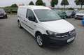 Volkswagen Caddy Maxi 2.0 TDI KLIMA PDC Insp+Zahnr+TÜV NEU Biały - thumbnail 4