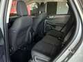 Ford Kuga Kuga 1.5 EcoBlue 120 CV aut. 2WD Titanium Business Grigio - thumbnail 12