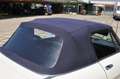 Alfa Romeo Spider 2.0 4 Posti Hard Top Carburatori Білий - thumbnail 6