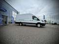Ford Transit Transit Kasten Trend 2,0 EcoBlue L4H3 350 / LEA... Weiß - thumbnail 6