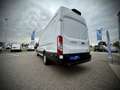 Ford Transit Transit Kasten Trend 2,0 EcoBlue L4H3 350 / LEA... Weiß - thumbnail 5