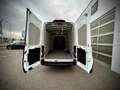 Ford Transit Transit Kasten Trend 2,0 EcoBlue L4H3 350 / LEA... Weiß - thumbnail 12