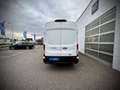 Ford Transit Transit Kasten Trend 2,0 EcoBlue L4H3 350 / LEA... Weiß - thumbnail 14
