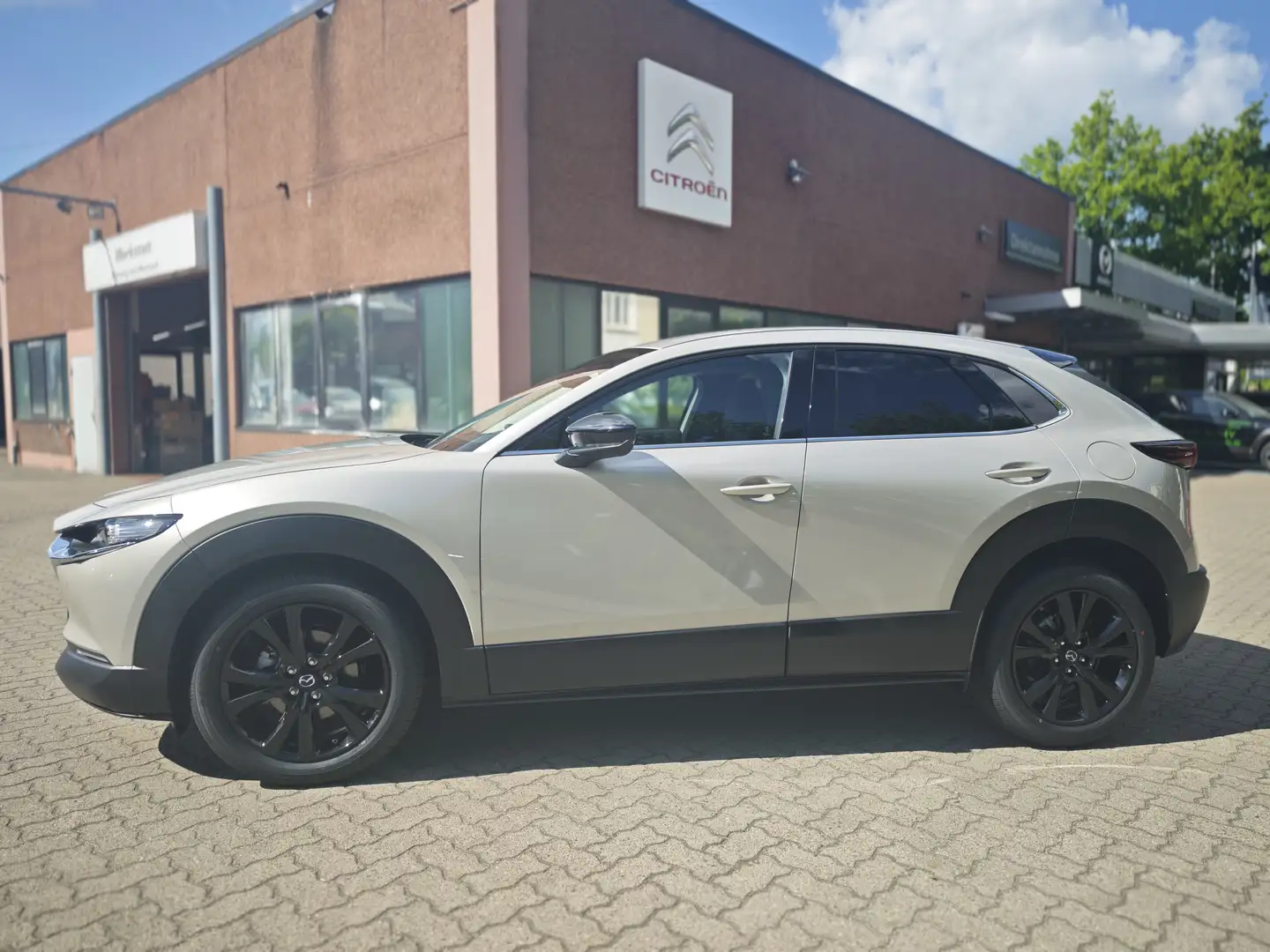 Mazda CX-30 2.5L e-SKYACTIV G 140ps Homura Blanc - 2