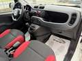 Fiat Panda 1.3 MJT 80cv* 4x4 *Van 2 posti*2018*km 77.516 Weiß - thumbnail 17