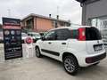 Fiat Panda 1.3 MJT 80cv* 4x4 *Van 2 posti*2018*km 77.516 Weiß - thumbnail 4