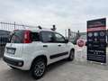 Fiat Panda 1.3 MJT 80cv* 4x4 *Van 2 posti*2018*km 77.516 Weiß - thumbnail 6