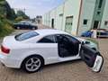 Audi A5 Coupé 2.7 TDI Pro Line Blanco - thumbnail 11