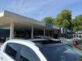 Kia Sportage 2.0 Aut Plus Pack Panorama Blanc - thumbnail 6