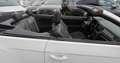 Volkswagen T-Roc Cabrio R-Line DSG Virtual LED ACC Nav Blanc - thumbnail 13