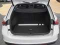 Skoda Octavia Combi RS TSI DSG Panoramadach Standheizu Weiß - thumbnail 14