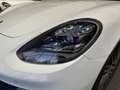 Porsche Panamera 4S E-Hybrid Aut. Blanco - thumbnail 19