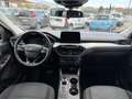 Ford Kuga 1.5 EcoBlue 120 CV aut. 2WD Titanium Business Grigio - thumbnail 13