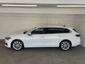 Skoda Superb Selection TSI mHEV DSG Weiß - thumbnail 3