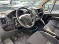 Fiat Ducato Grossr.-Kasten 35 140 L4H2 RS: 4035 mm/3-SITZ Weiß - thumbnail 16