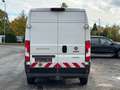 Fiat Ducato Grossr.-Kasten 35 140 L4H2 RS: 4035 mm/3-SITZ Weiß - thumbnail 9