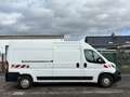 Fiat Ducato Grossr.-Kasten 35 140 L4H2 RS: 4035 mm/3-SITZ Weiß - thumbnail 4