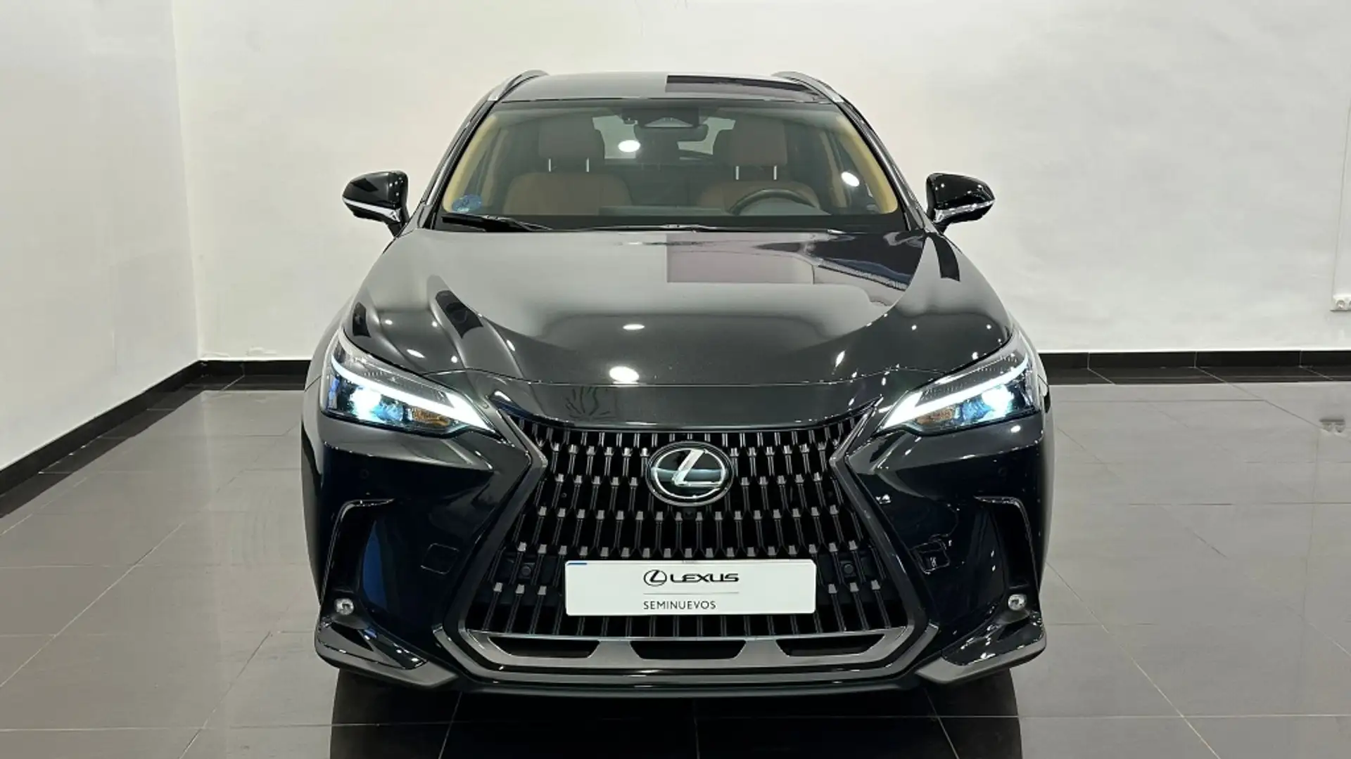 Lexus NX 450h+ Executive+ 4WD Negro - 2