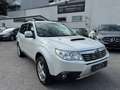 Subaru Forester 2,0D XS Comfort PICKERL 12/25 Schiebedach Sitzheiz Weiß - thumbnail 4