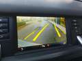Land Rover Discovery Sport Discovery Sport 2.2 SD4 HSE 7 posti Bianco - thumbnail 14
