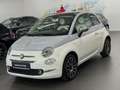 Fiat 500 Collezione Aut. CARPLAY+ANDRO/U-FREI/WIE NEU Weiß - thumbnail 1