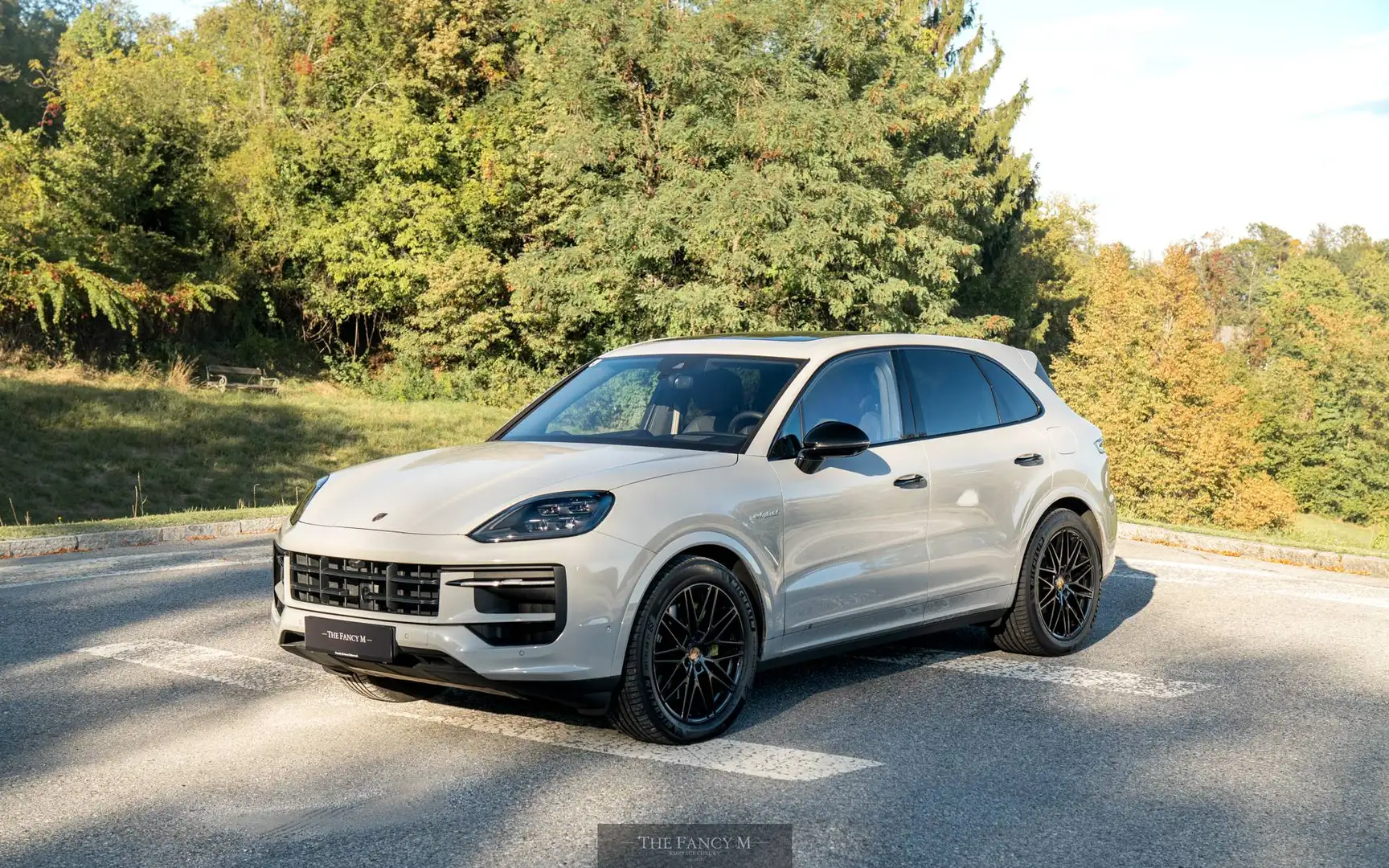 Porsche Cayenne E-Hybrid *Kreide* Grau - 2