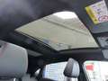 Ford Puma 1.0 EcoB. Aut. ST-Line X LED,ACC,Panorama Grau - thumbnail 13