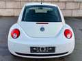 Volkswagen New Beetle New Beetle 1.9 TDI DPF United Weiß - thumbnail 5
