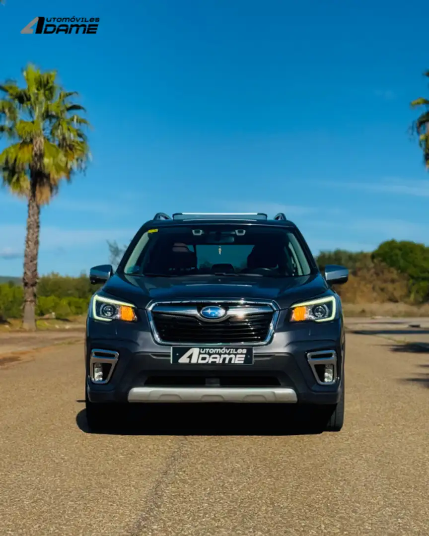 Subaru Forester 2.0i Hybrid Executive CVT Gris - 2