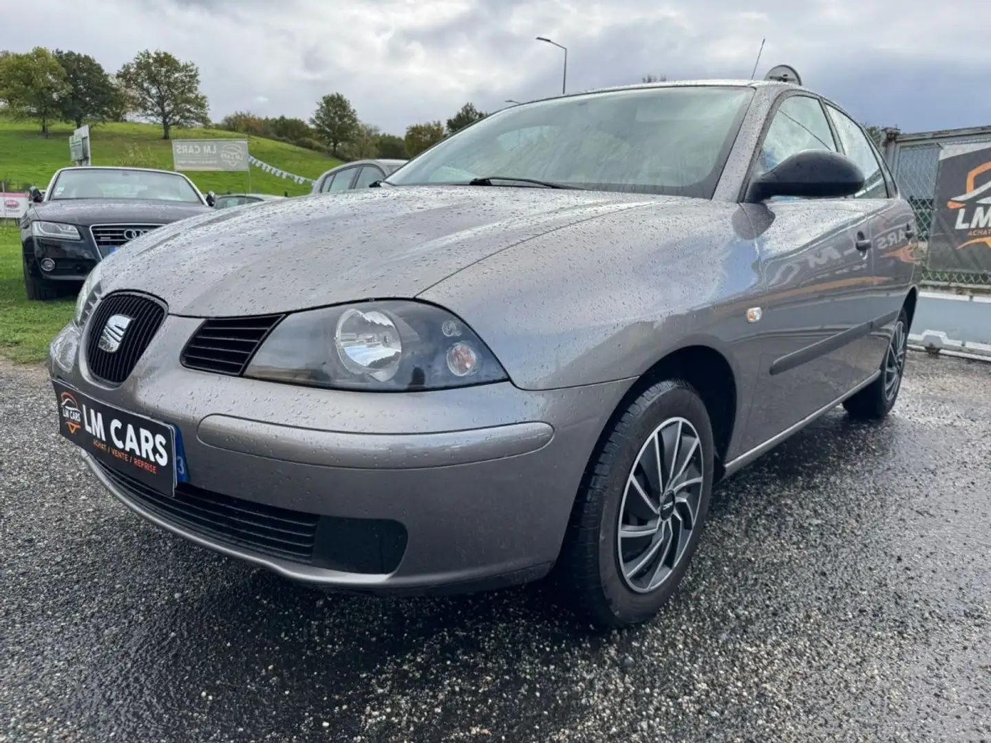 SEAT Ibiza Fresh - 2