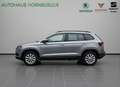 Skoda Karoq Ambition 1.6TDI 115PS LED PDC Cruise Control 16"LM Grau - thumbnail 2