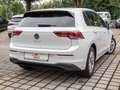 Volkswagen Golf VIII 1.5 TSI Life SHZ H/K NAVI ACC LED Weiß - thumbnail 3