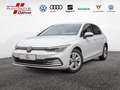 Volkswagen Golf VIII 1.5 TSI Life SHZ H/K NAVI ACC LED Weiß - thumbnail 1