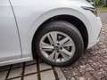 Volkswagen Golf VIII 1.5 TSI Life SHZ H/K NAVI ACC LED Weiß - thumbnail 5