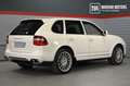 Porsche Cayenne Turbo 500CV Full Optional! Bianco - thumbnail 3