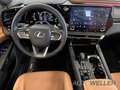 Lexus RX 450h + Plug-in-Hybrid Executive Line *HUD* Grey - thumbnail 9