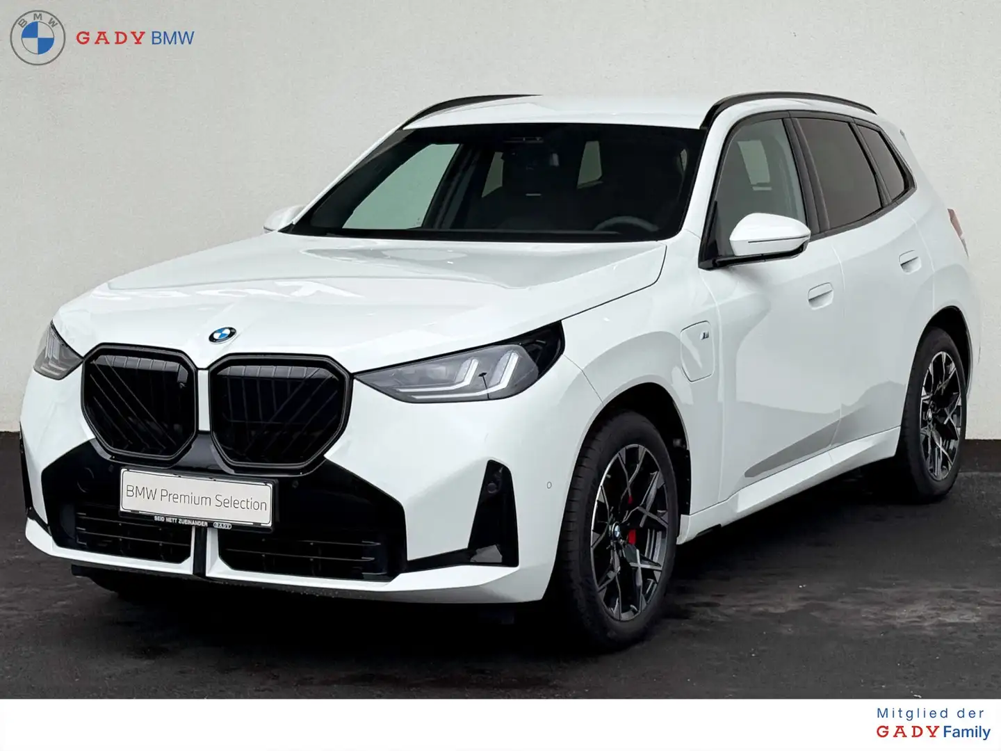 BMW X3 30e xDrive M-Sportpaket Pro Weiß - 1